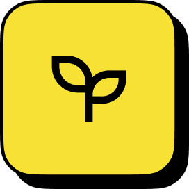 Frame 1362790260 9 Hair Transplant