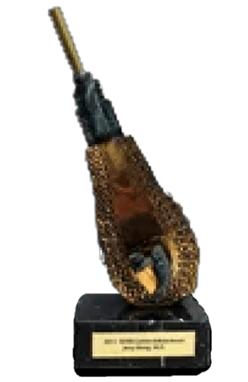 Hair Removal Treatment.